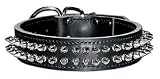 1 1/2 Df Close Spiked Latigo Collar