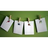 Paper Ink & Earth -- Winter Birds note cards