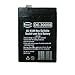 AMERICAN HUNTER Decoy Mojo 6 Volt 4.5 AMP Rechargeable Battery (Black)