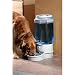 Kitchen & Housewares : Ergo Auto Pet Waterer, Large