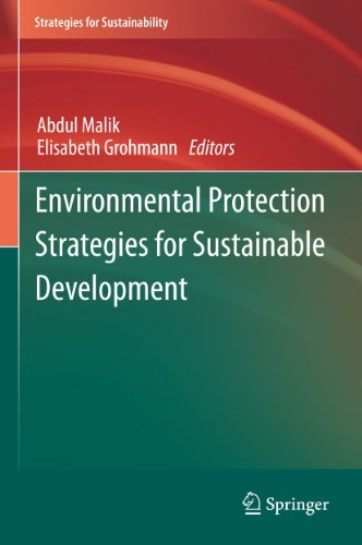 Environmental Protection Strategies for Sustainable Development (Strategies for Sustainability)