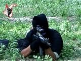 IntelCenter: Know Thy Enemy Terrorism DVD Series: Islamic Army in
Iraq (IAI) V003: Baghdad Sniper: Part 2 (English Subtitles)