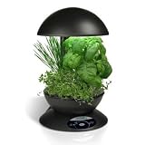 AeroGarden 3 with Gourmet Herbs