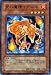 ͷ�������󥰥륫���� ������������˥� �Ρ��ޥ� exp2-jp008