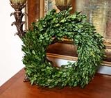 Preserved Garden Boxwood Wreath 14"
