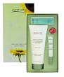 Attitude Line Organic Nail Kit - Sunflower