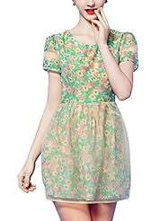 Floral Print Chiffon/Organza Above the Knee Short  Dress