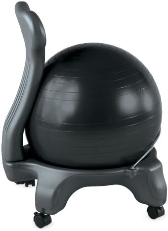Gaiam Balance Ball Chairs