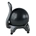 Gaiam Balance Ball Chair (Black)