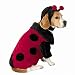 Ladybug pet costume - Large - Large