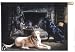 labrador47 - Ducks Unlimited Labs Crow Creek Black and Yellow