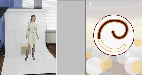Childrens Toyshop  Video Games : America's Next Top Model (Nintendo DS)