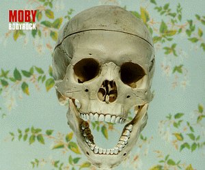 Moby - Bodyrock / Sunday / Sunspot - Zortam Music