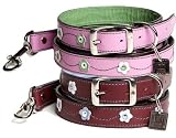 Urban Hund Tiergarten Collar 20-24