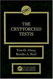 The Cryptorchid Testis