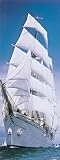 Komar - Tuertapete - Segelschiff - 2-1017