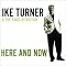 Have A Fundamental Ike & Tina Turner Collection