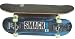 WWF Wrestling Skateboard