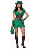 Sexy Robyn da Hood Plus Size Adult Halloween Costume