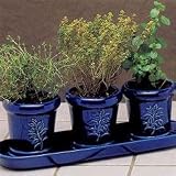 Herb Garden Gift Set with Organic Soil, France, Gift Set *Great Gift Idea*