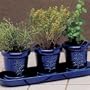 Herb Garden Gift Set with Organic Soil, France, Gift Set *Great Gift Idea*