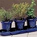 French Herb Garden