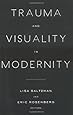 Trauma and Visuality in Modernity (Interfaces: Studies in Visual Culture)