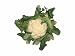 Capital Cauliflowers: The Ultimate Collection of the World's Finest Cauliflower Recipes