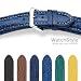 HIRSCH Ocean M, 100m Water-Resistant, Genuine Shark, 22 mm, Steel Buckle