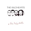 The Wildhearts - Live in the Studio - A Film by Tim Smith [DVD] [2009]