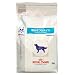 �� �ᕪ�q�v���e�C�� HYPOALLERGENIC 3Kg