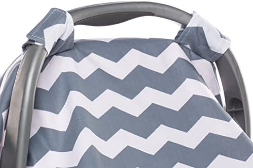 Elonka Nichole Baby Girl Carseat Canopy, Chevron