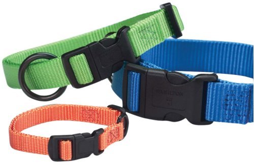 Adjustable Dog Collar, 1