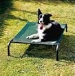 Coolaroo Steel-Framed Pet Bed, Brunswick Green, Medium