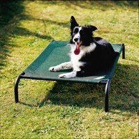 Coolaroo Steel-Framed Pet Bed, Brunswick Green, Medium