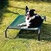 Coolaroo Steel-Framed Pet Bed, Brunswick Green, Medium