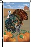 Turkey Run