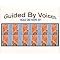 Get into Robert Pollard / Guided By Voices