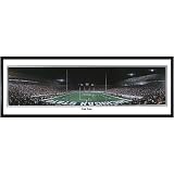 Everlasting Images Michigan State Spartans 'End Zone' Black Framed Photo