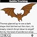 Heroes of Redmarch: Goblin Bane (Palm OS5) downloadable Software