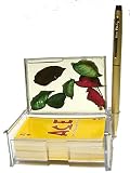 Glassy Transparent Business Card holder With Flower Cuttings Inside RS.199 (73.00% Off) - Amazon