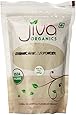Jiva Organics USDA Organic Amchur Powder, 7 Ounce