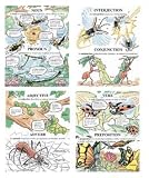 POSTER SET PARTS OF SPEECH GR. 4-9 4/PK