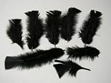 Ostrich Arrangement fillers--Jet Black Turkey Feathers-100 Pcs.-3