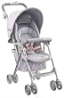 Graco �V�e�B�[�X�|�[�c EDT dlx �L�����L���� �O���[