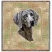 Weimaraner Woven Lap Square (Throw Blanket)