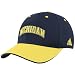adidas Michigan Wolverines Navy Blue Team Colors Flex Fit Hat