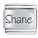 Name Shane Italian Charms Bracelet Link