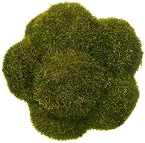4 inch Woodland Moss Ball