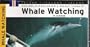 Whale Watching in Iceland